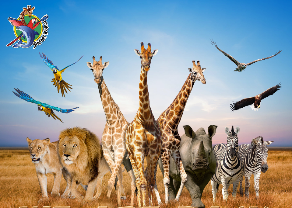 サファリワールド 到着